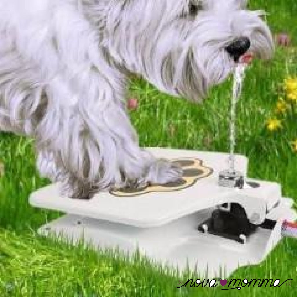 Dog Water Fountain