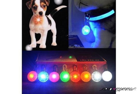 Flashing Led Dog Collar Pendant Clip Light