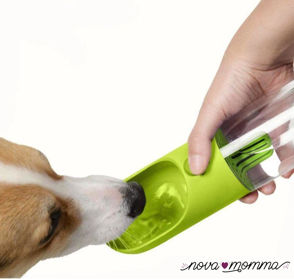 Pet Water Bottle