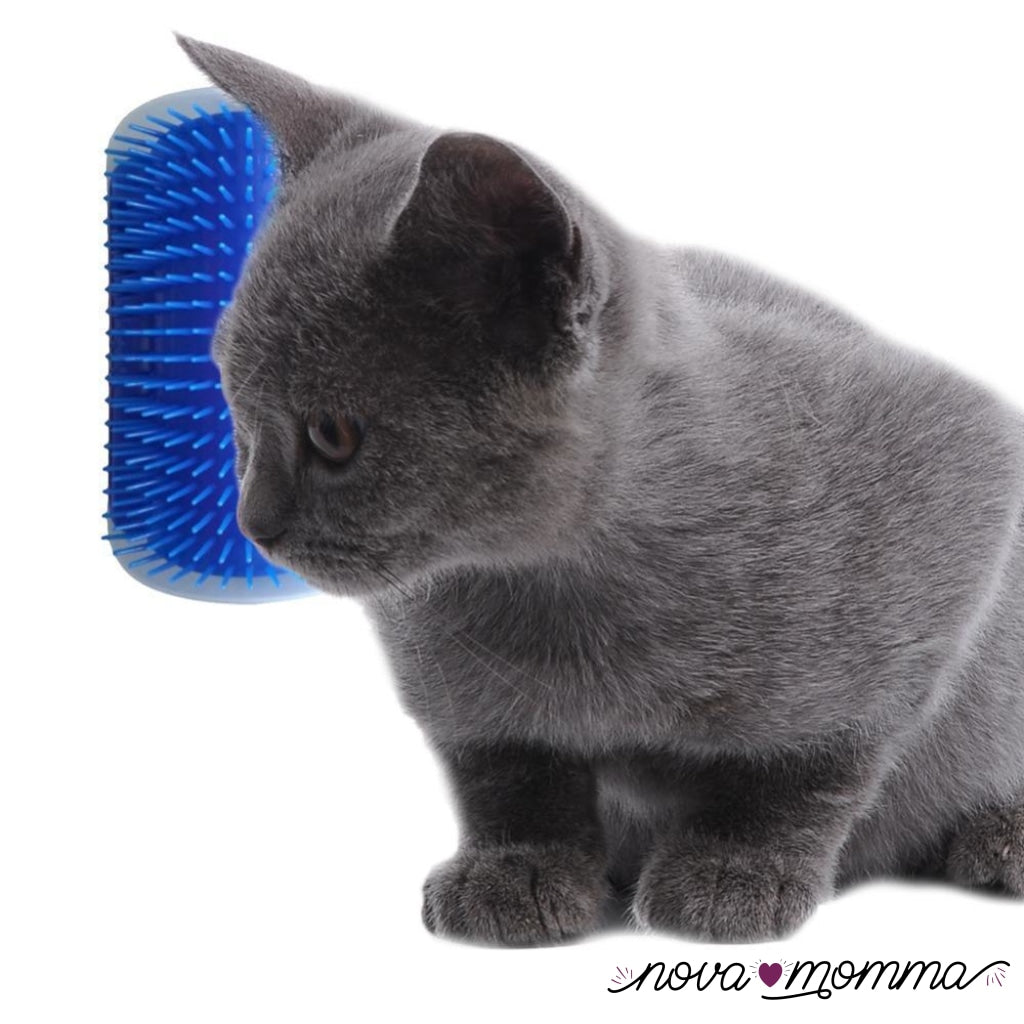 Self-Grooming Cat Brush